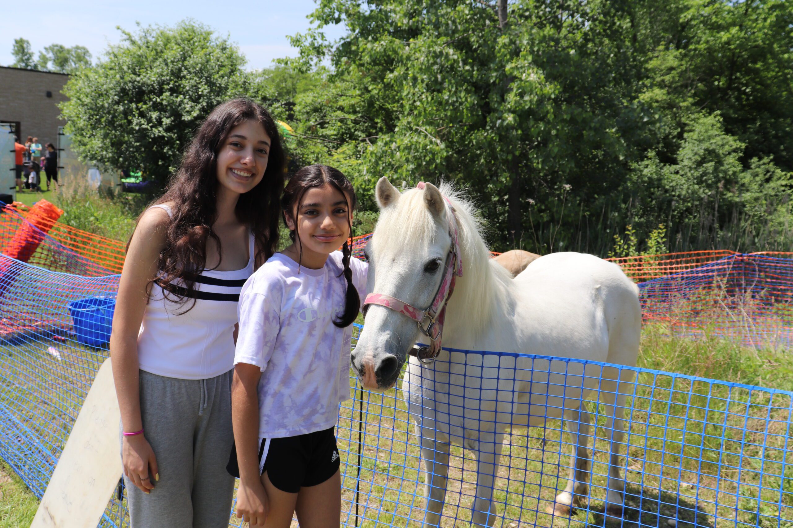 Teens pet a pony at a library event