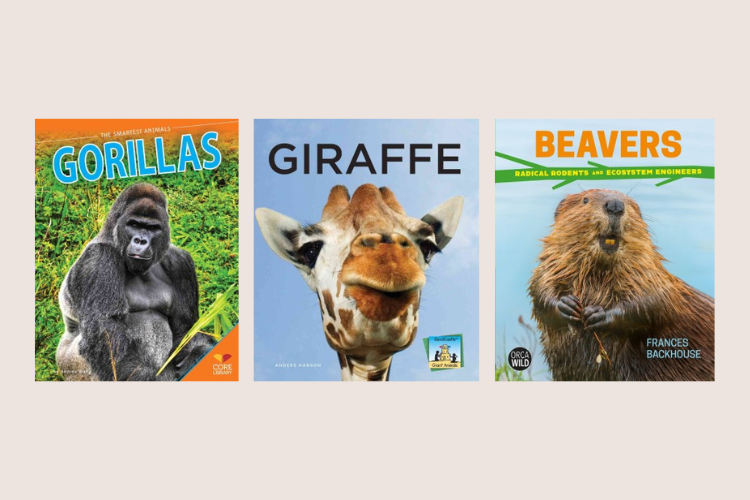 three book covers