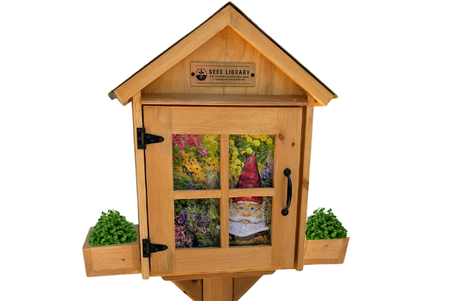 an outdoor structure like a Little Free Library labeled "Seed Library" with greenery in the window and window boxes