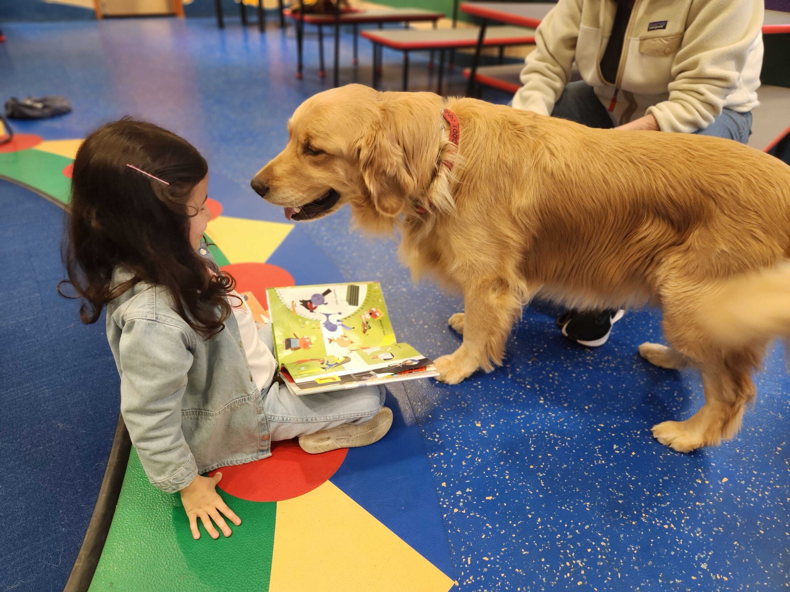 A girl holding a book while a dog faces her.